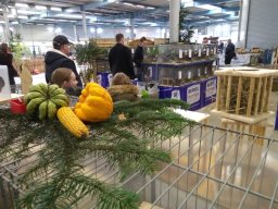 IMG_20181117_123312285